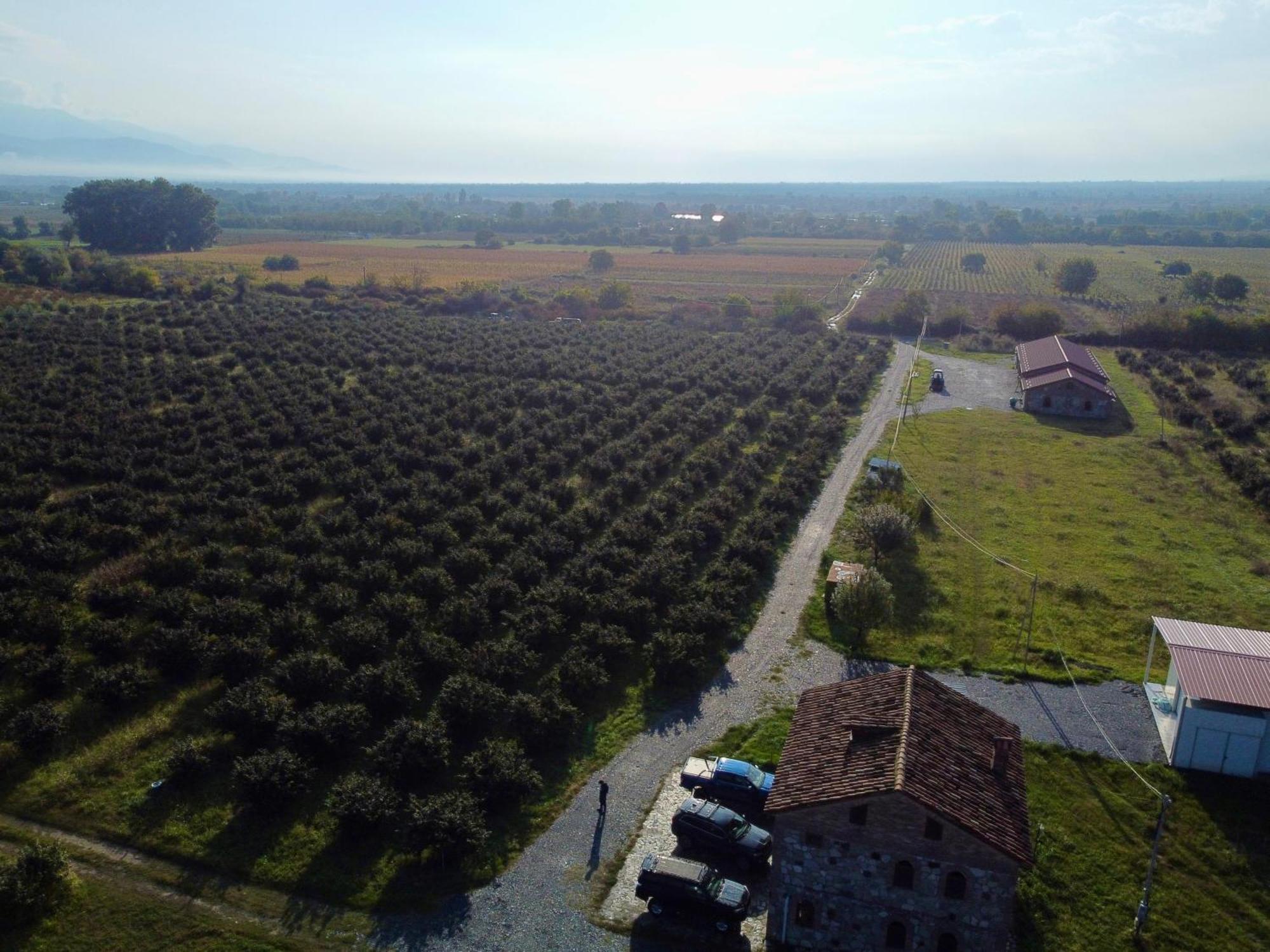 Mestvireni Telavi Exterior foto